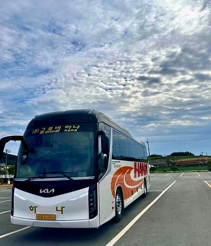 Mini Limousine Bus & Full-Size Coach